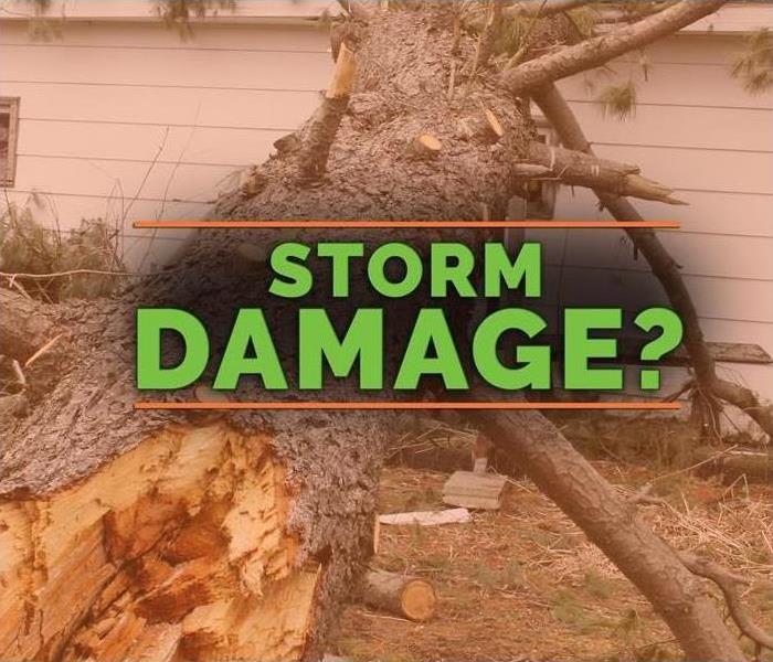 A damaged background is shown with the words Storm Damage question mark